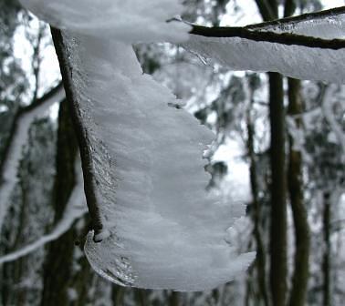 綿向山の霧氷の世界