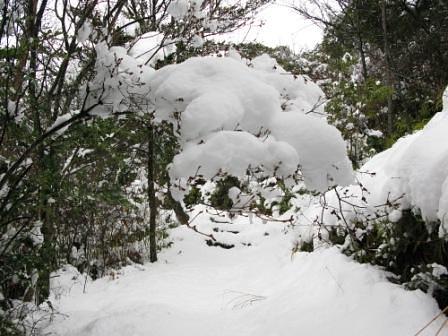 北尾根縦走路から雪の三上山