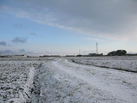 冬化粧の希望が丘への道