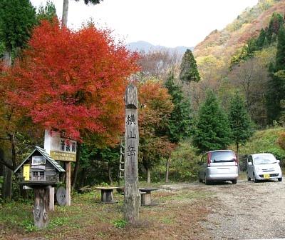 湖北　横山岳のブナ林に遊ぶ