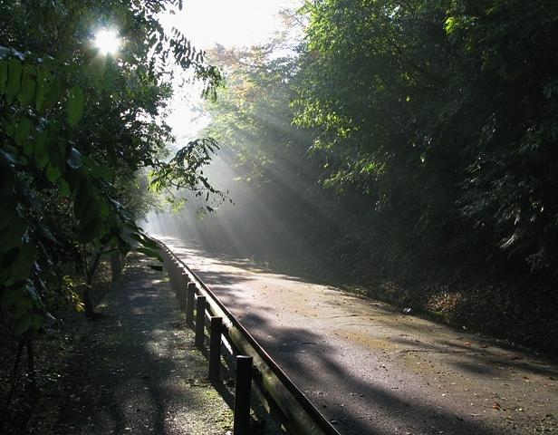 希望が丘に通ずる無名峠越え