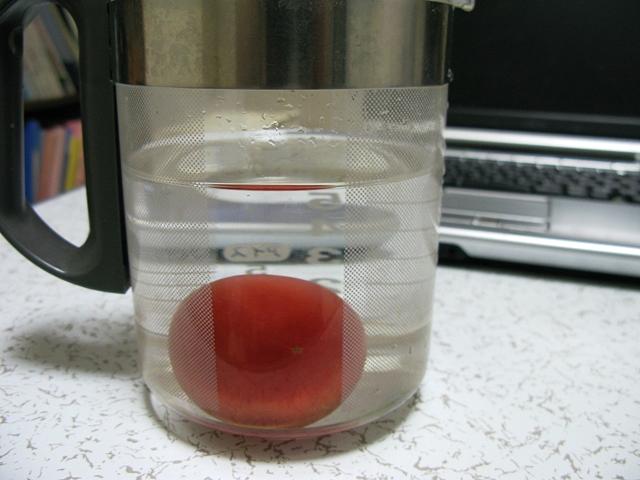水に沈む完熟トマト