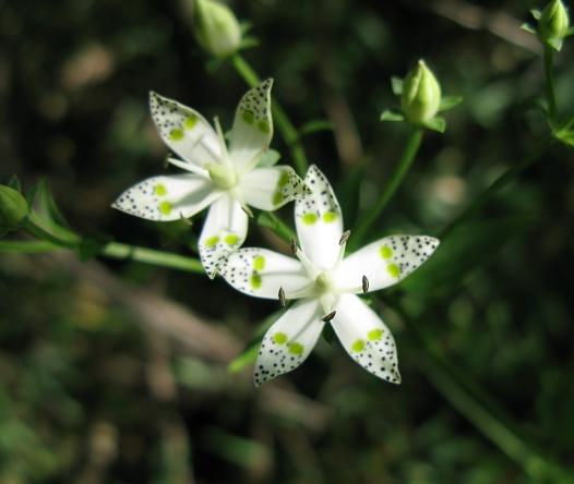第2回四季のハイキング「希望が丘を歩く」