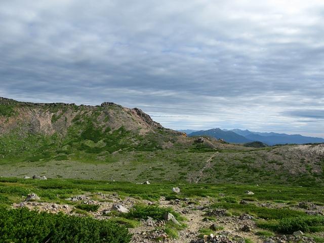 憧れの木曽御嶽山コマクサ