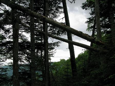 南アルプス　鳳凰三山