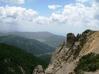 赤坂山のオオバキスミレ