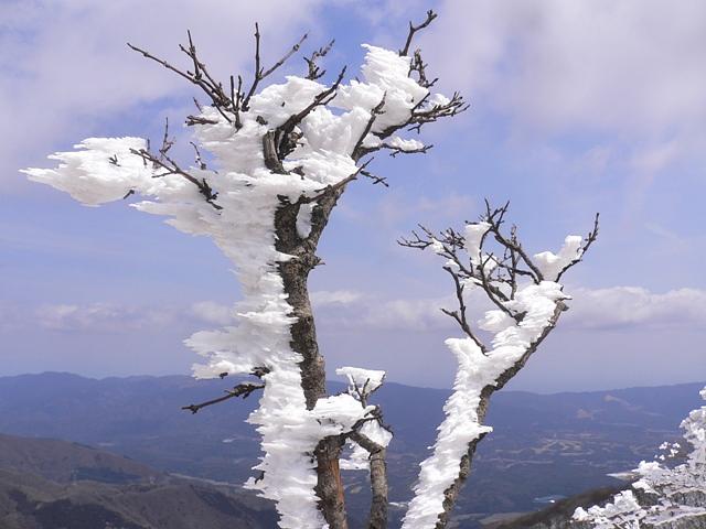 雪解鈴鹿・御池岳