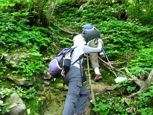 温見峠から能郷白山
