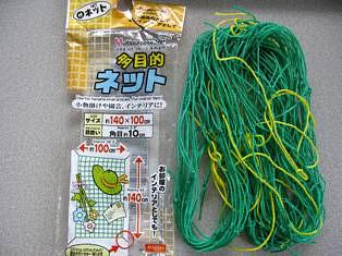 インゲン豆ツル有り無しどちらがおいしい