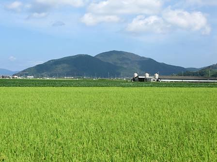 長命寺から奥島山