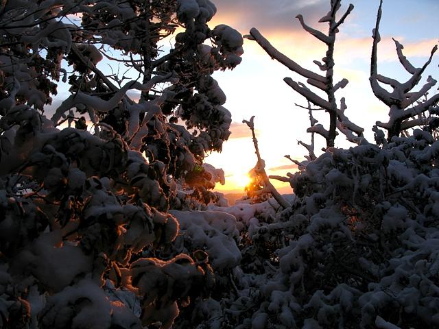 三上山のご来光