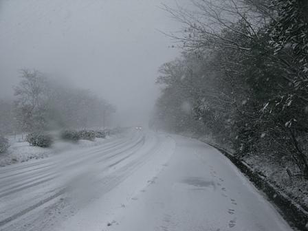野洲も大雪