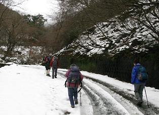 №９高島トレイル（三国山～赤坂山）