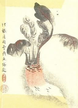 日野菜の栽培と漬物