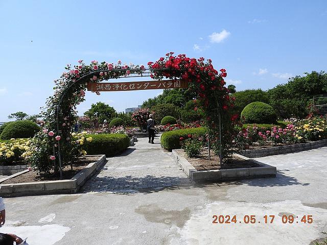 湖西浄化センターバラ園