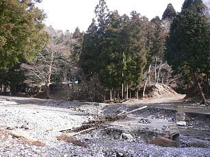 早春の福寿草を求めて藤原岳(西尾根)