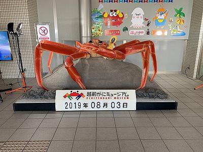 快晴の越前海岸