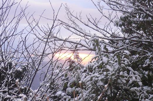 三上山初登山大会
