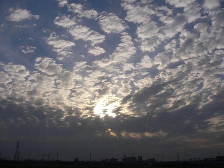 鈴鹿日本コバに遊ぶ