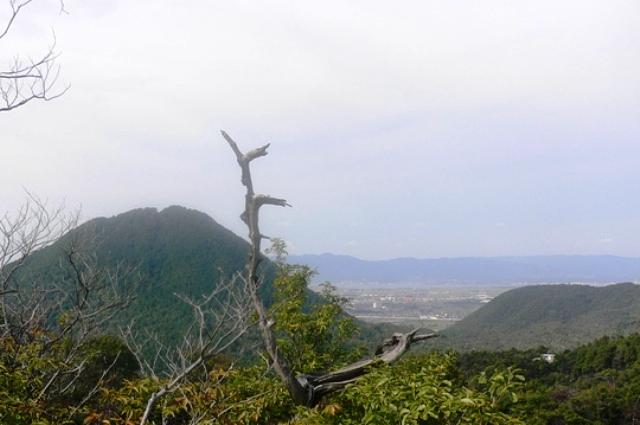 希望が丘第３回四季ハイキング