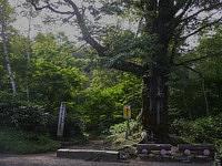 北アルプス薬師岳