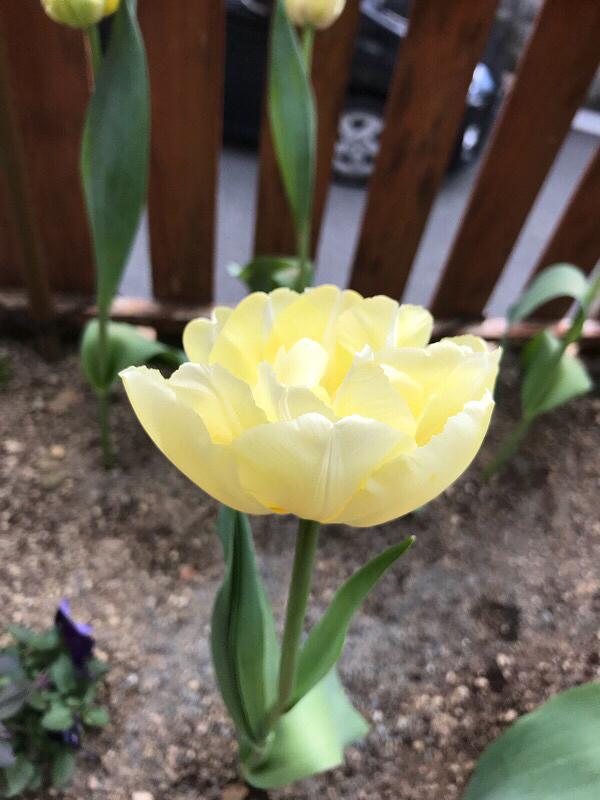 こんなに寒いのに！