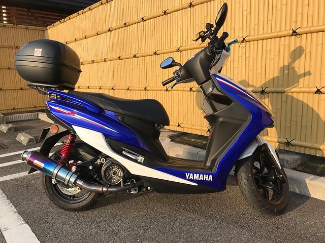 今年初のシグナス