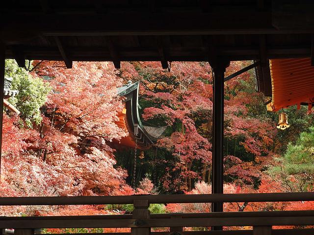 2017.11.23毘沙門堂