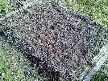 家庭菜園４年目に突入！！