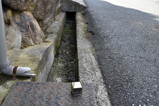 琵琶湖一斉掃除