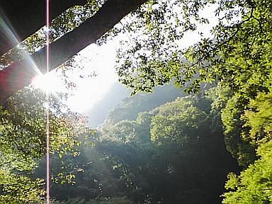 来月はイベント満載！