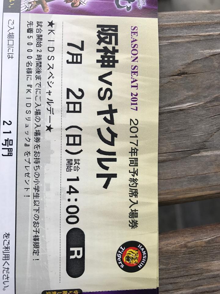 甲子園に行って来ます