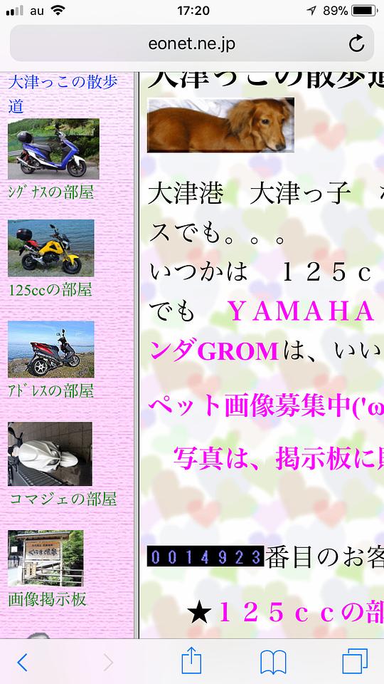 ホームページ写真