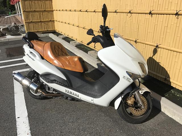 コマジェが元気