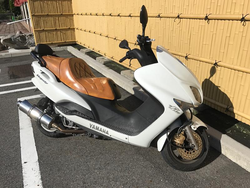 コマジェが元気