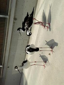 27日で仕事納め