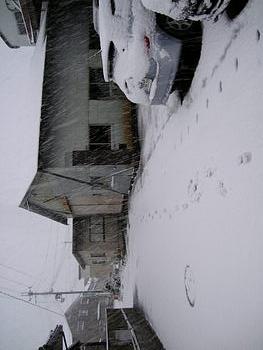 今日は雪ですね(ーー;)