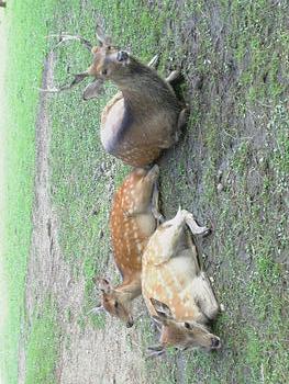 一週間が経つのは早い