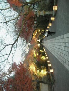 石山寺の紅葉を見に行ってきました。