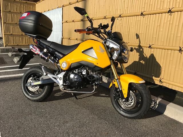 寒いけどGROMで朝練