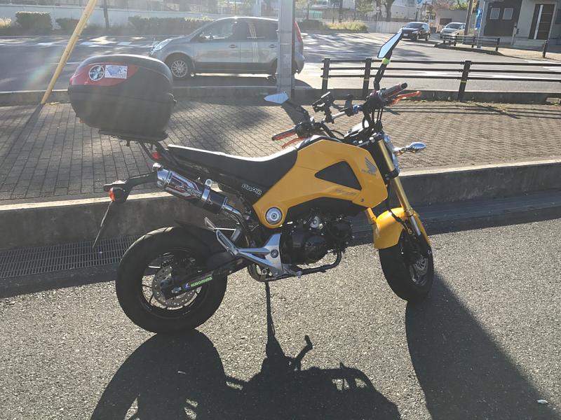 紅葉は、まだ早いし…