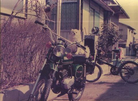 初めて買ったYAMAHAのバイク