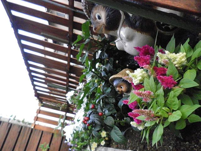 小さな庭に。。。