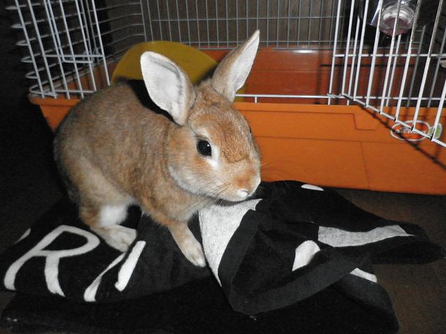 家族がいたら快適