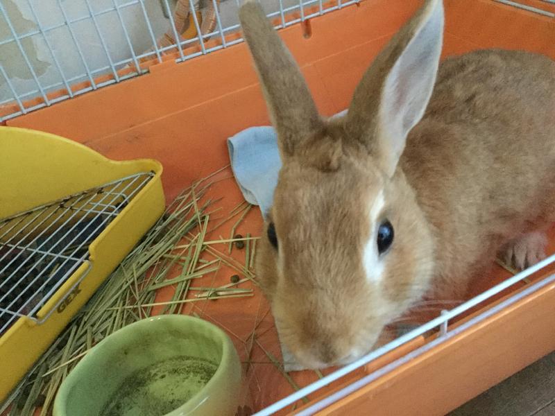 今日も元気だ！