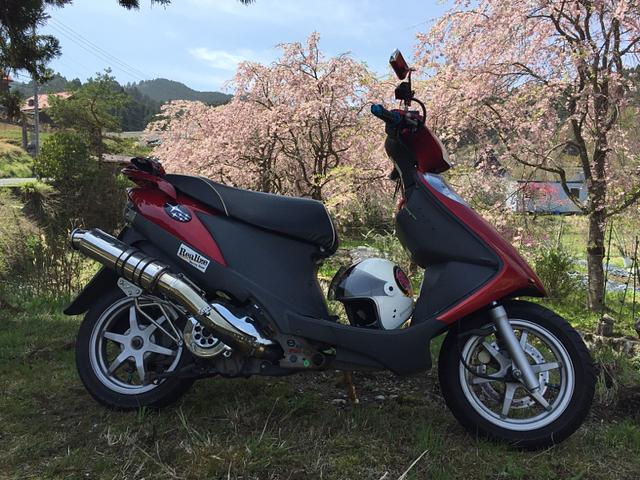 京都北部の山間