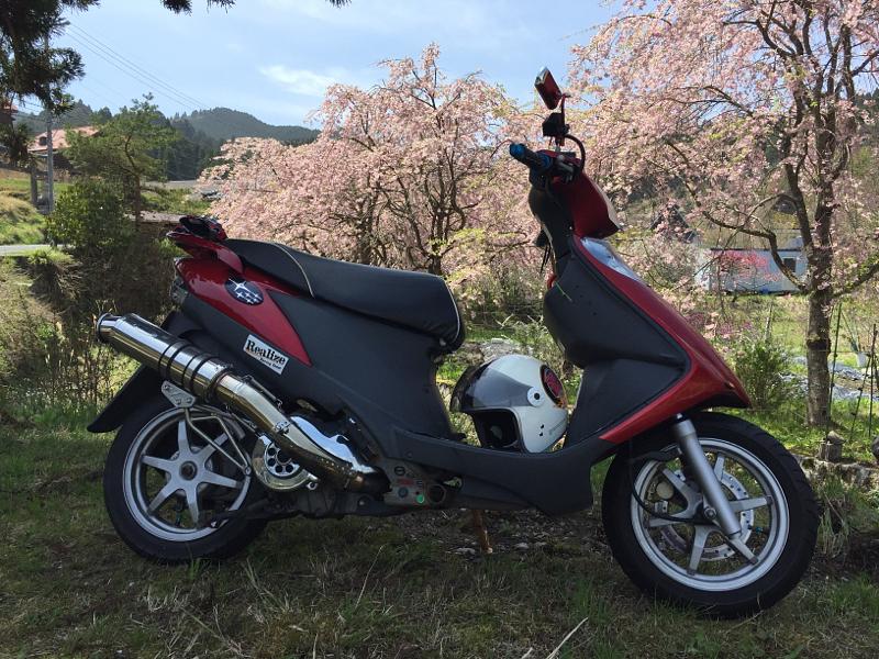 京都北部の山間