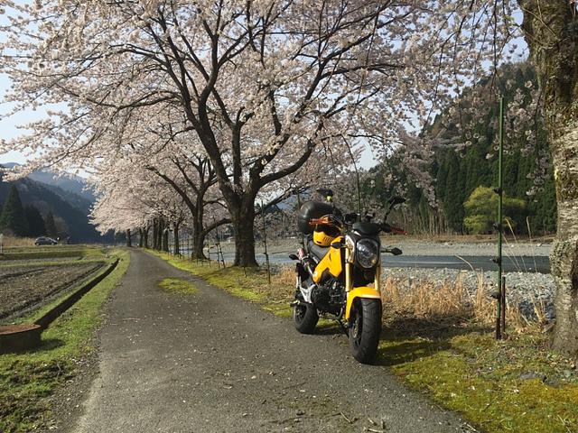 三方五湖行っちゃいます