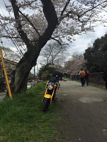 疏水を走ってみた