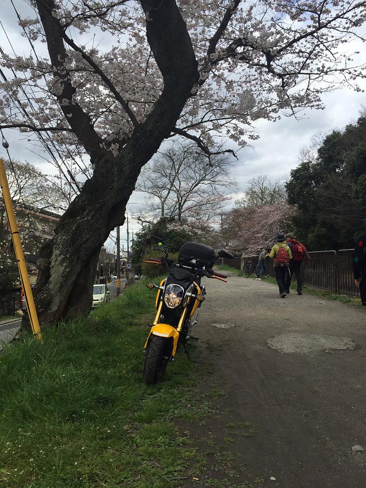 疏水を走ってみた